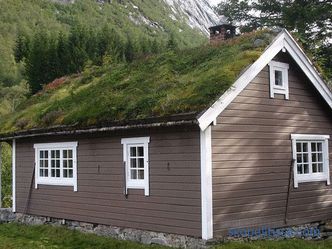Скандинавска къща: стая в скандинавски стил