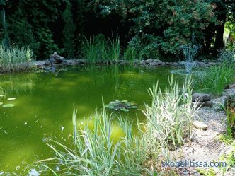 Как да си направим езерце в страната - изкуствено декоративно езеро в градината и на мястото, красив дизайн на езерцето, снимка