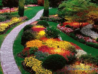 снимки и основни препоръки за създаване на красива градина