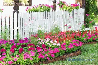 Цветя по оградата: правилата за ландшафтен дизайн