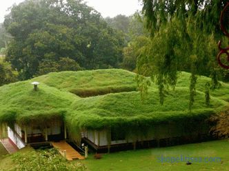 Зелен покрив - красота или добро