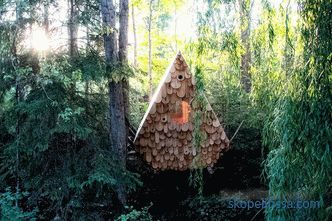 Къщичката за птици в канадска гора - настанява двама души и 12 птици